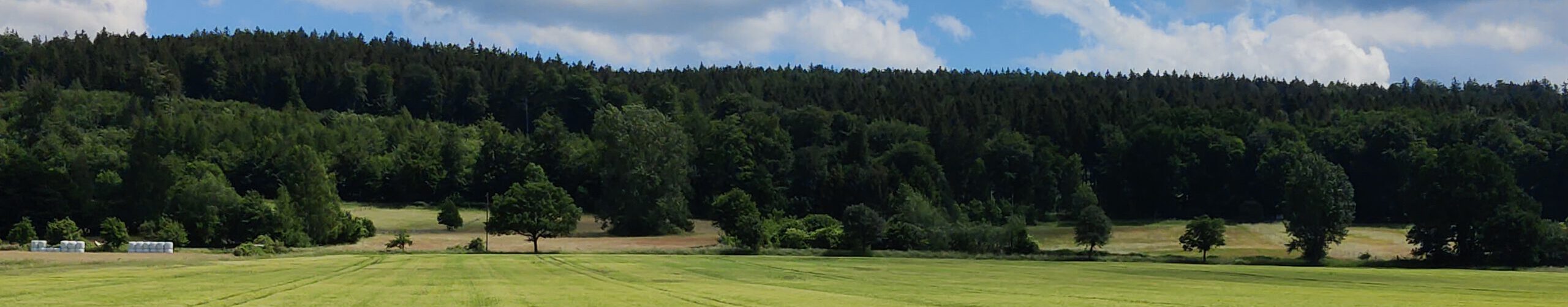 Altenhagen I